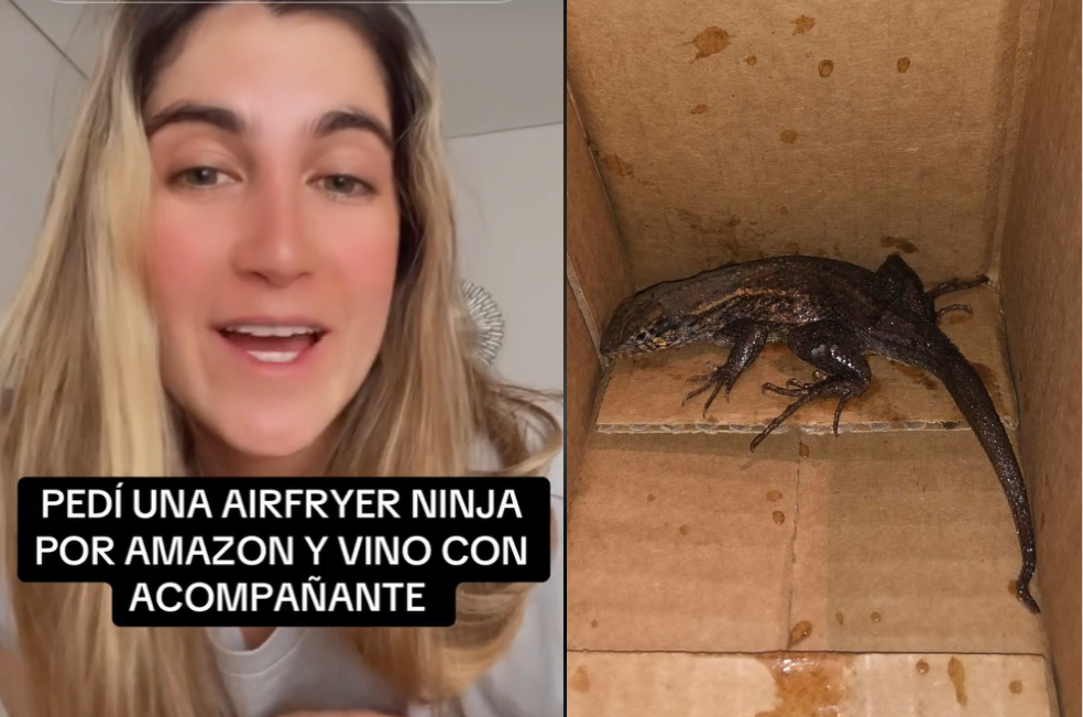 Colombiana pidió una air fryer por Amazon y llegó con un animal en la caja (Video)