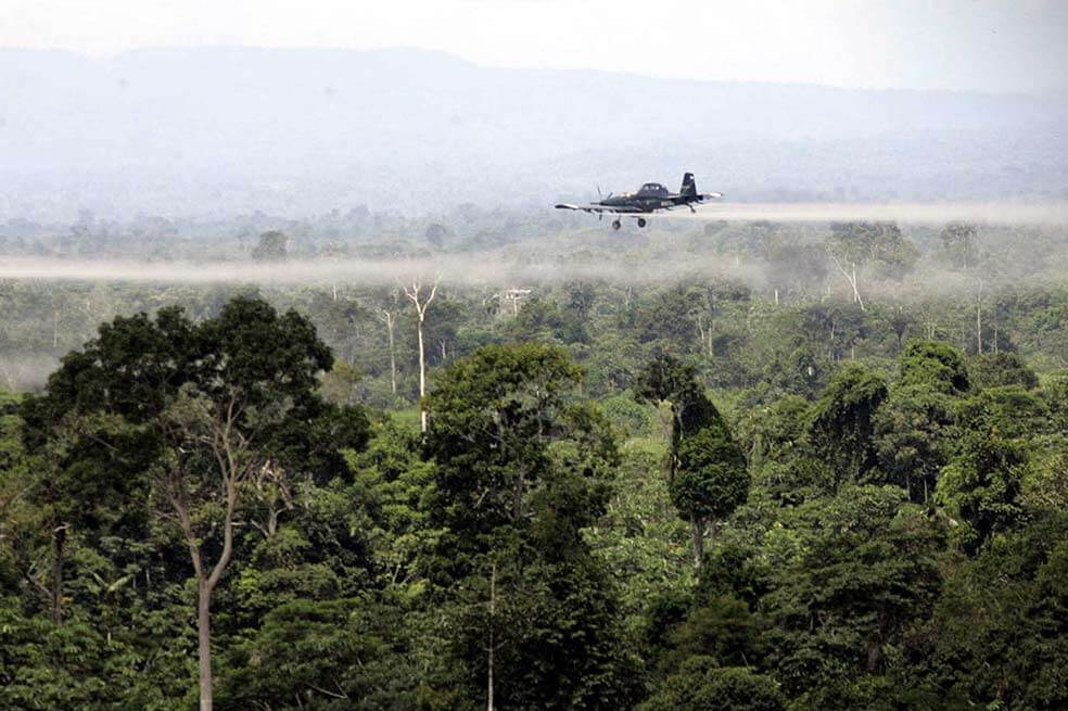 Una audiencia virtual no daría validez al regreso del glifosato en Colombia, dicen organizaciones
