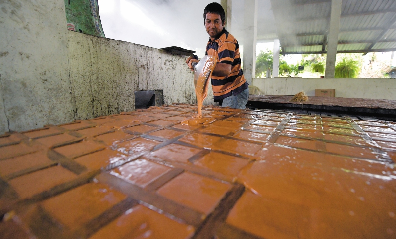 Lo que dice y no dice la “patente de la panela”