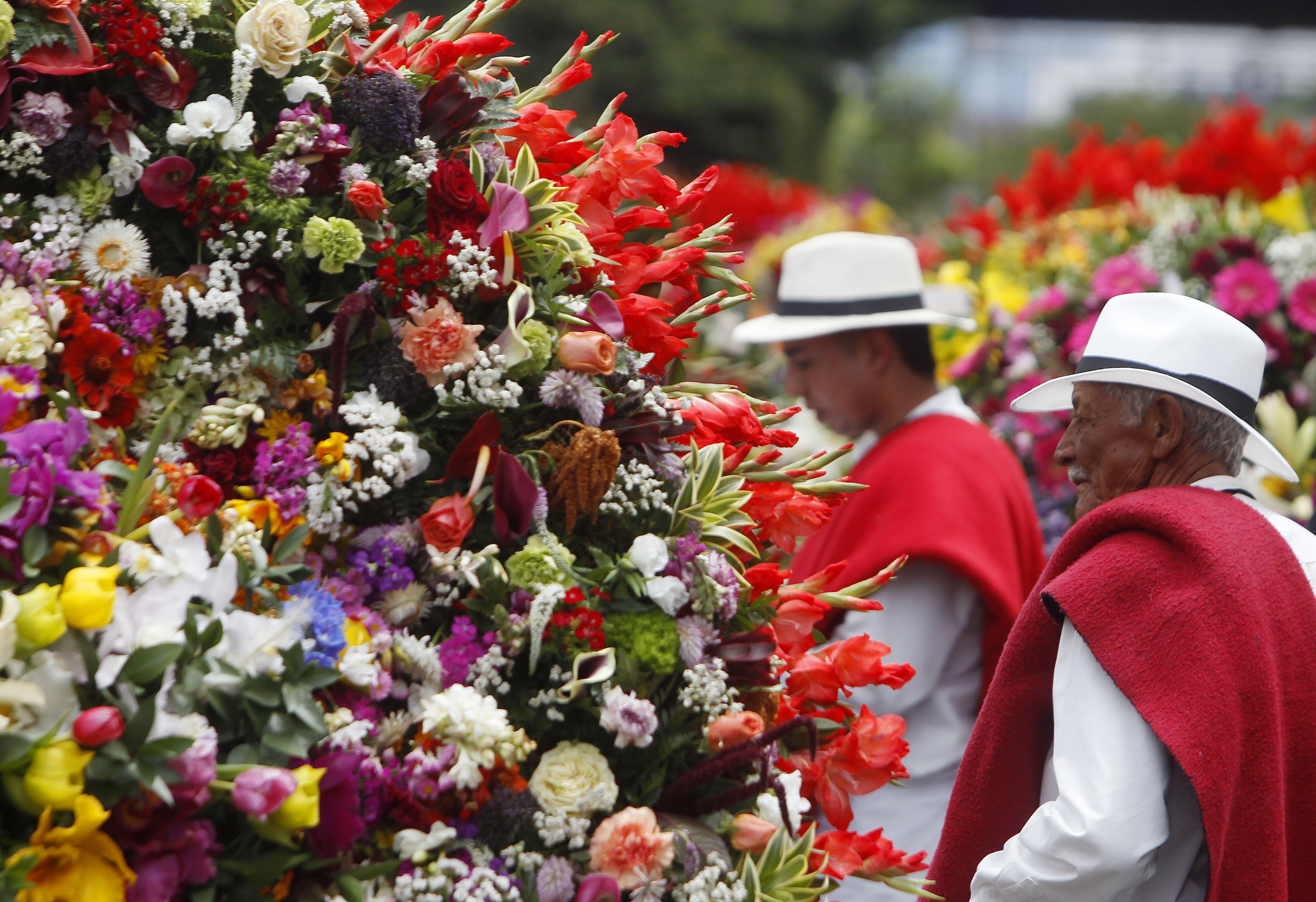 AME8864. MEDELLÍN (COLOMBIA), 07/08/2023.- Silleteros preparan sus silletas en la edición 66 del Desfile de Silleteros de la Feria de las Flores hoy, en Medellín (Colombia). Más de medio centenar de silleteros salieron este lunes de sus pintorescas fincas en el caserío de Santa Elena, donde nació hace 66 años esta tradición, para desfilar sus majestuoso arreglos florales y convertir a Medellín en un jardín como gran cierre de la Feria de las Flores. EFE/ Luis Eduardo Noriega A.