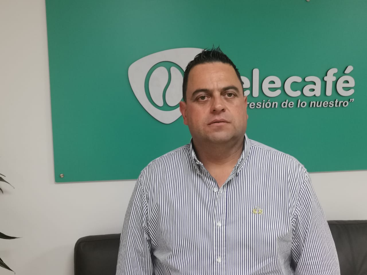“La siembra del aguacate hass se debería regular”: director de la Corporación Autónoma del Quindío