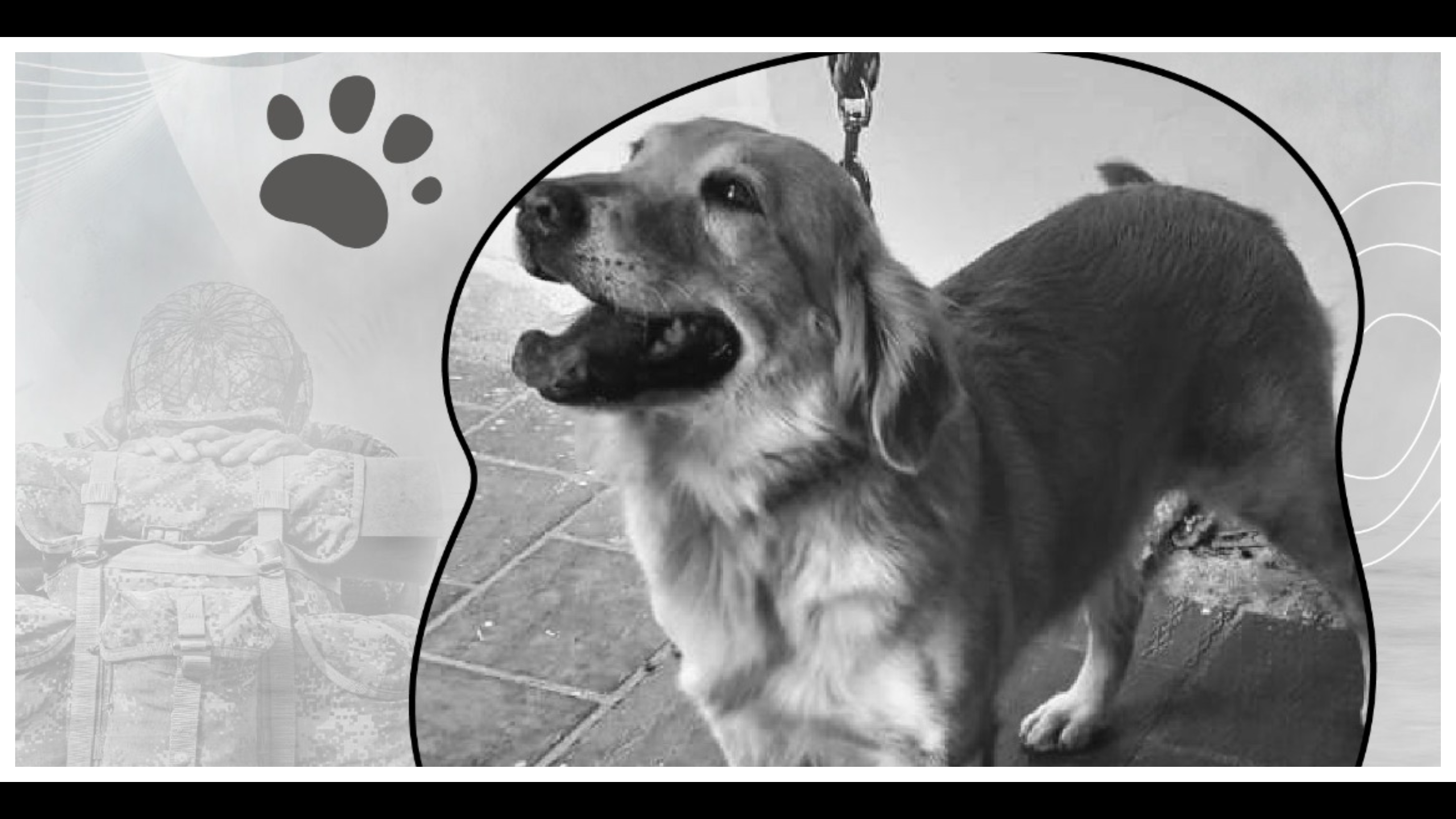 Un perro antiexplosivos muerto y nueve soldados heridos deja explosión en Bolívar