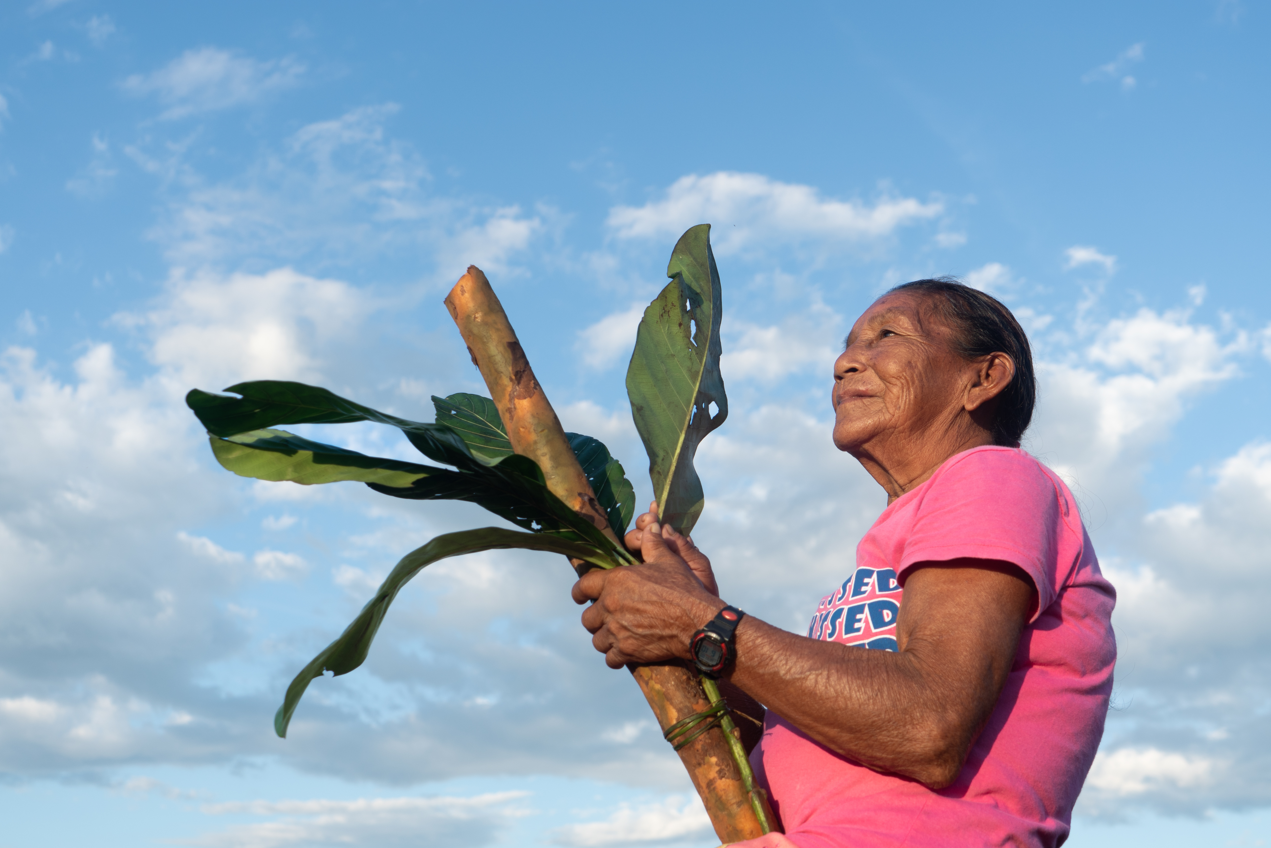 Indígenas amazónicos investigan plantas para elaborar productos, pero hay varios retos