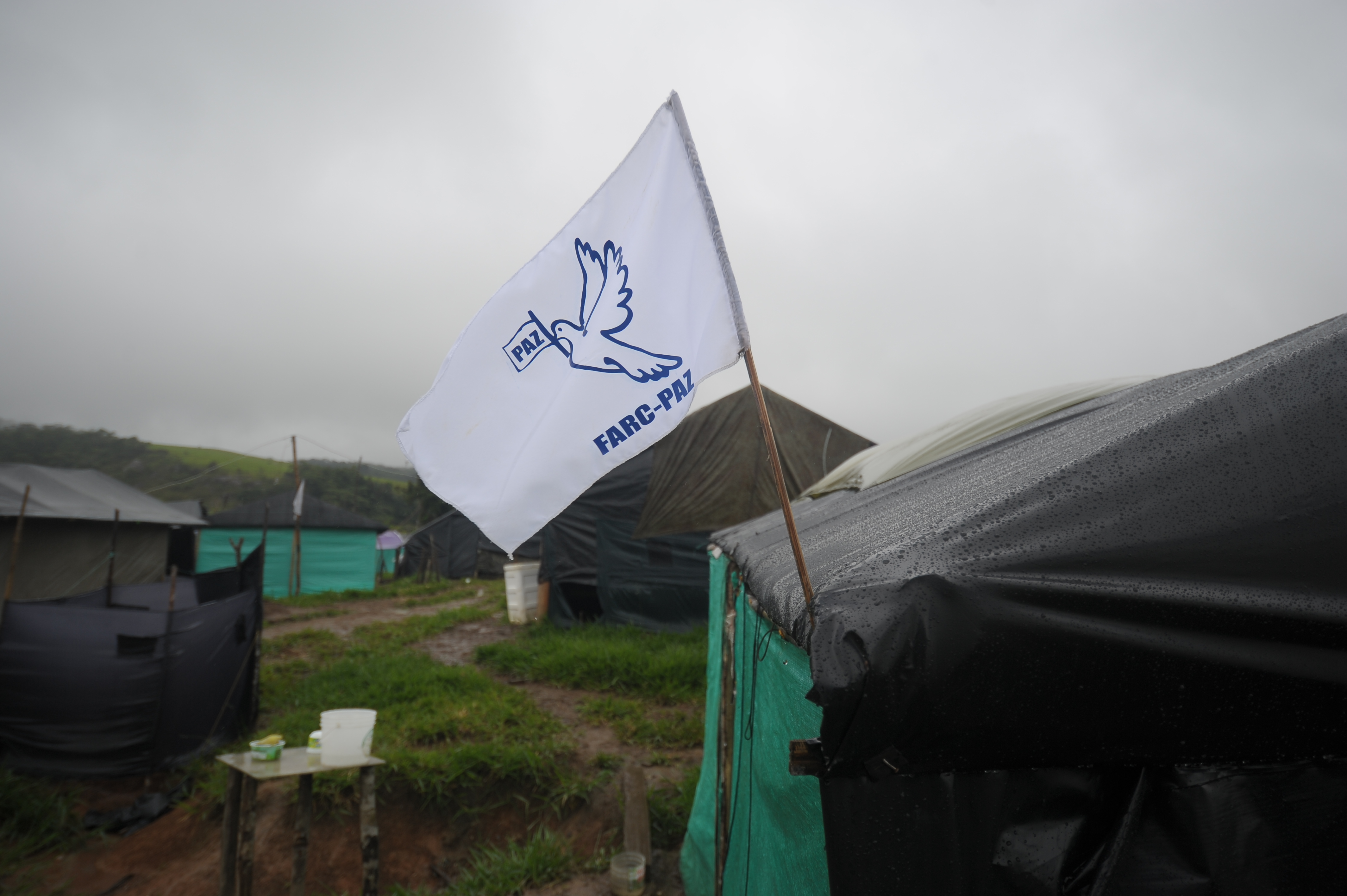 En Mesetas (Meta) iniciaron su reincorporación alrededor de 520 guerrilleros de la Farc.