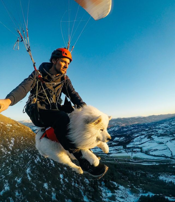 Ouka, el perro samoyedo que vuela en parapente