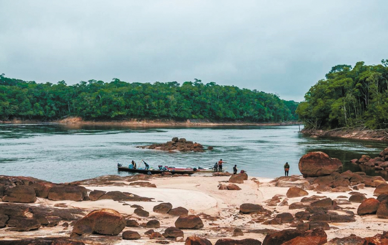 El lucrativo mercado de bonos de carbono, según los indígenas del Amazonas