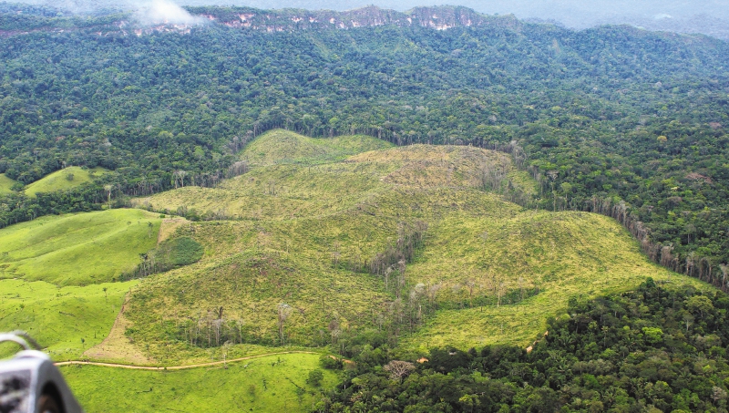 El Parque Nacional Natural Cordillera de Los Picachos es el cuarto parque más deforestado del país. / Fiscalía - Dijín