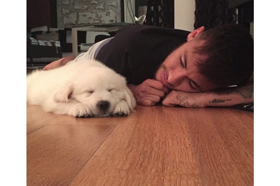 Flush, Truco y Poker, los mejores amigos de cuatro patas de Neymar