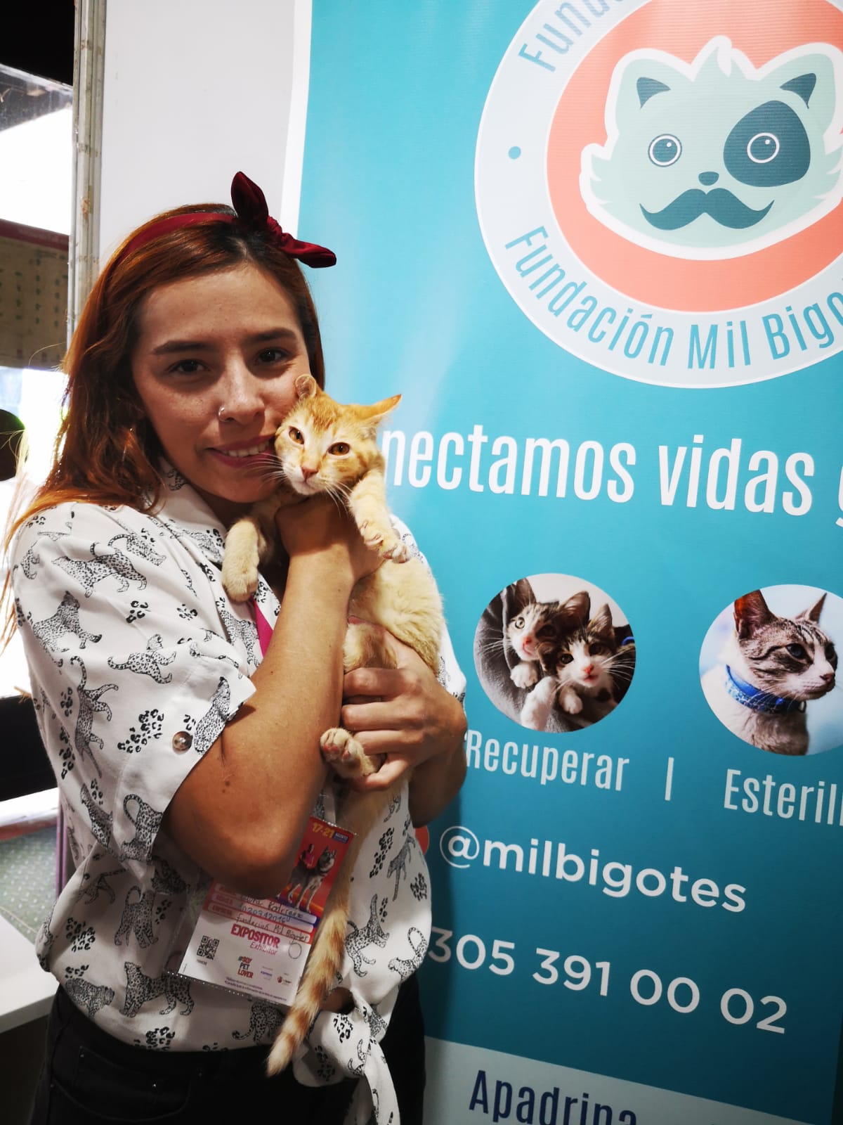 Mil Bigotes, la fundación que rescata gatos de calle en Bogotá: así los puede ayudar