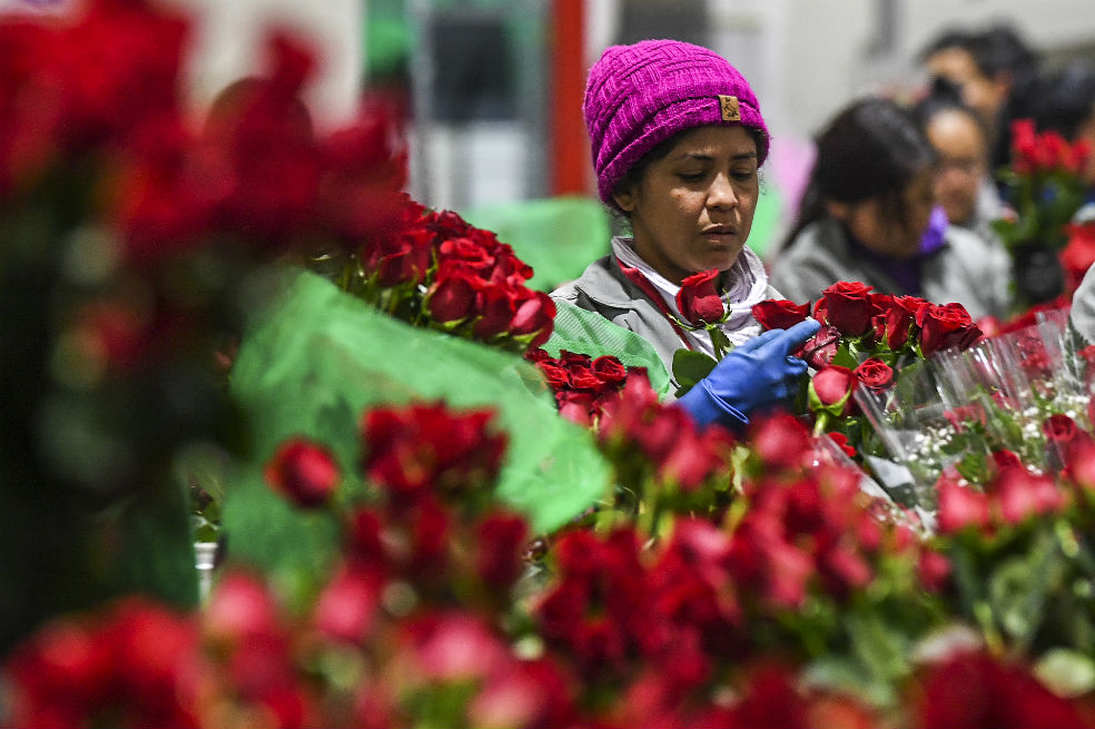 San Valentín, un alivio para la crisis en la frontera con Venezuela