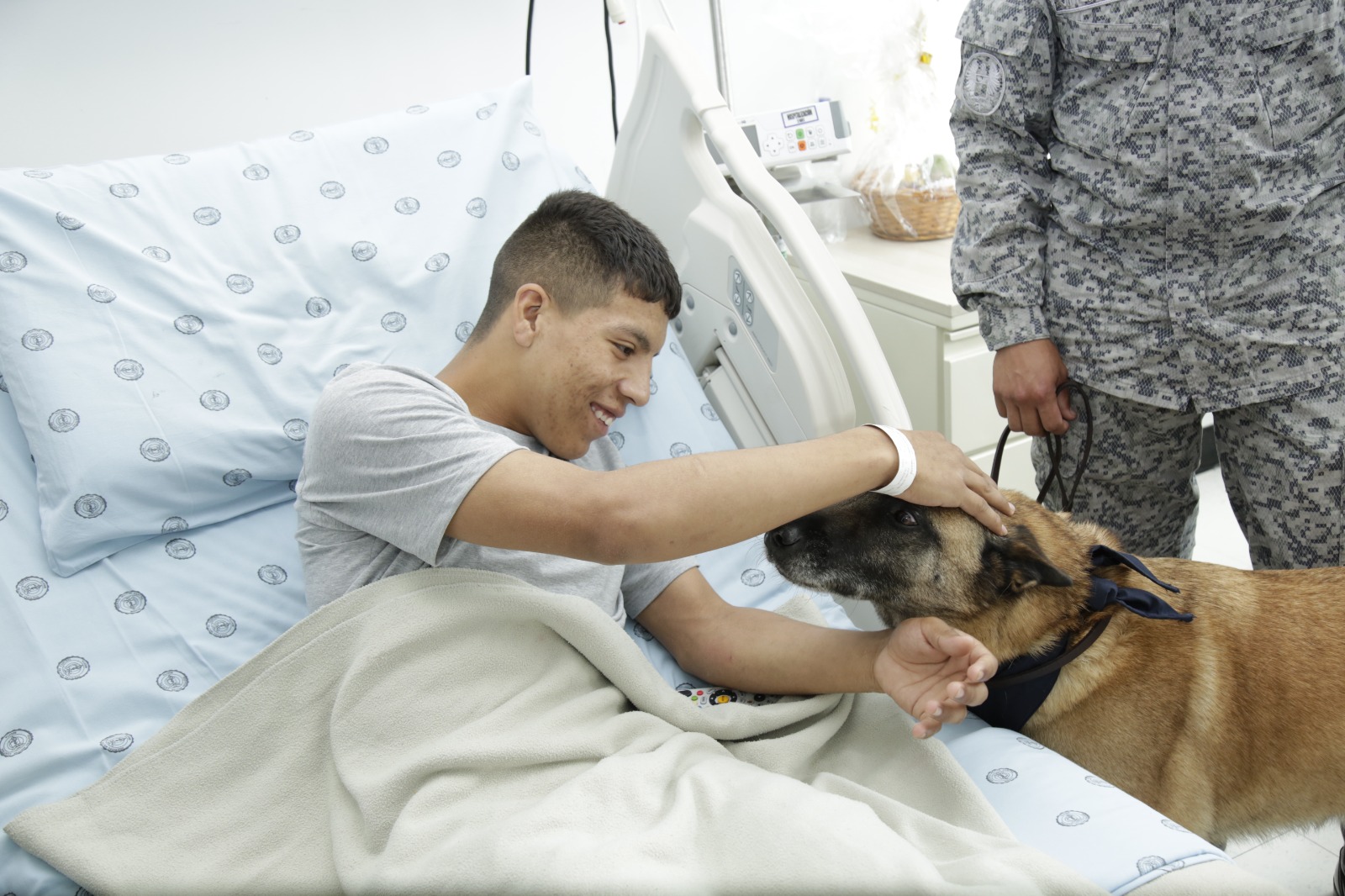 Video: perros rescatados brindan apoyo emocional a militares heridos en Arauca