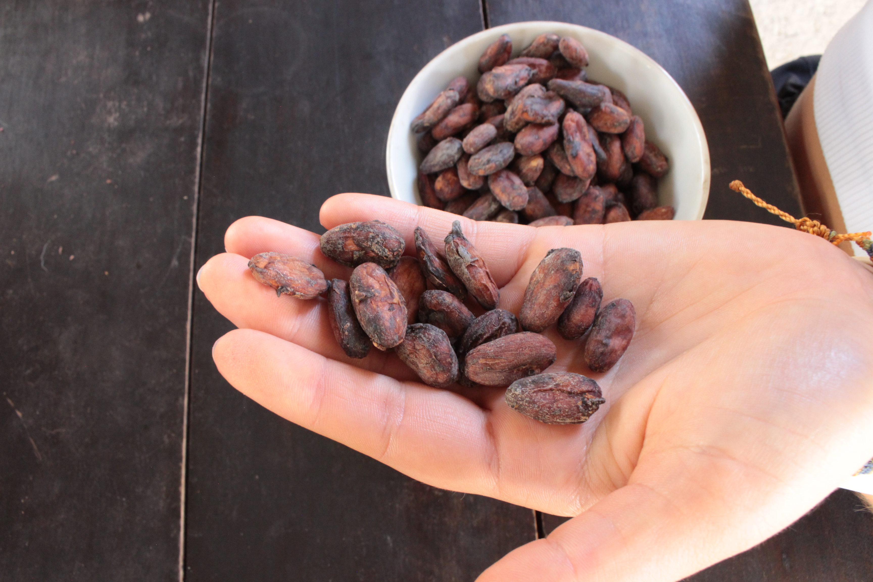 ¿De dónde viene el sabor del chocolate? La fermentación del cacao sería la clave