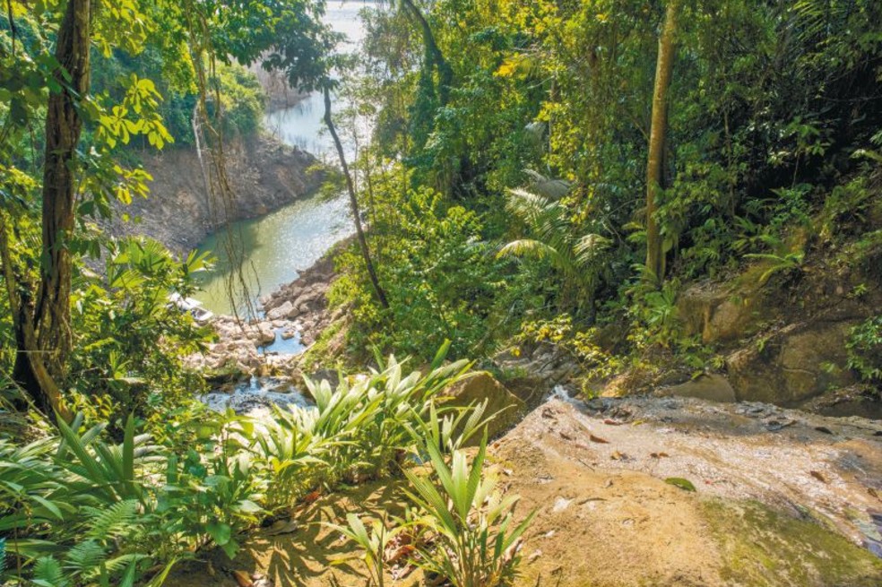 Áreas protegidas, elemento clave para la protección y conservación del agua