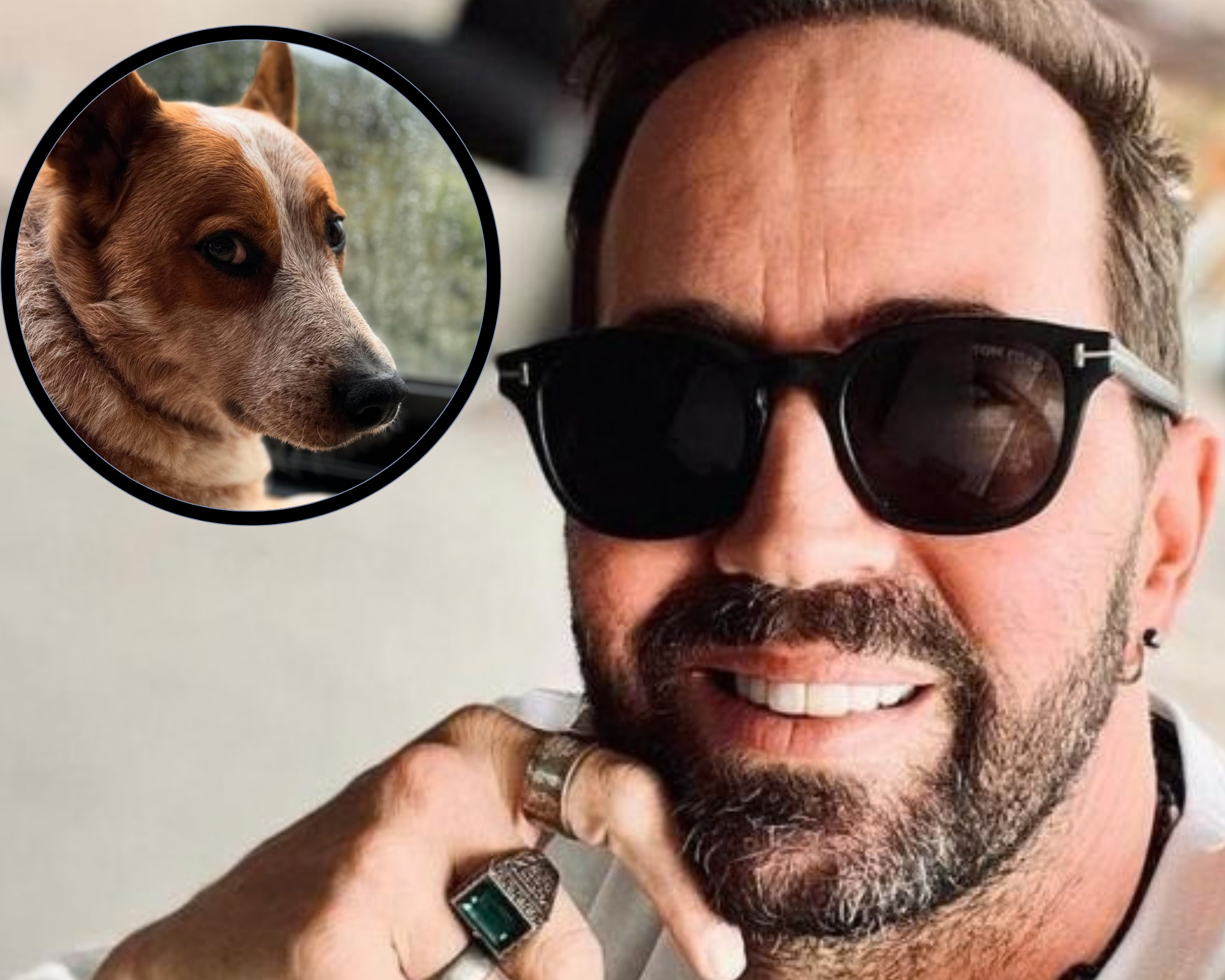 Murió Atún, perro de Lucas Arnau en triste accidente: "Se me atravesó en el carro y lo pisé"