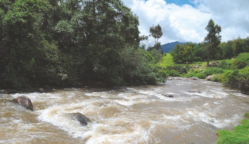 Las precisiones ambientales que le deben hacer al POT de Bogotá