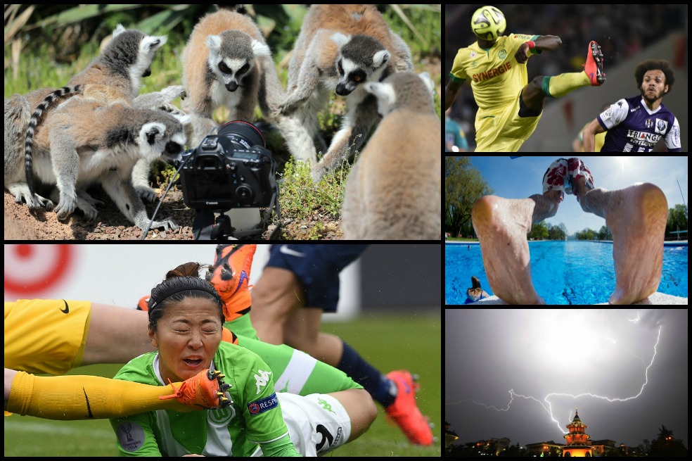 Top 15: Las fotos más curiosas de la semana