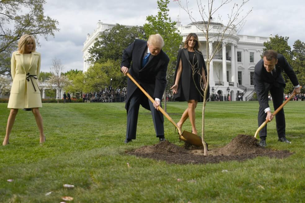 El triste final del ‘árbol de la amistad’ que Trump y Macron plantaron en la Casa Blanca