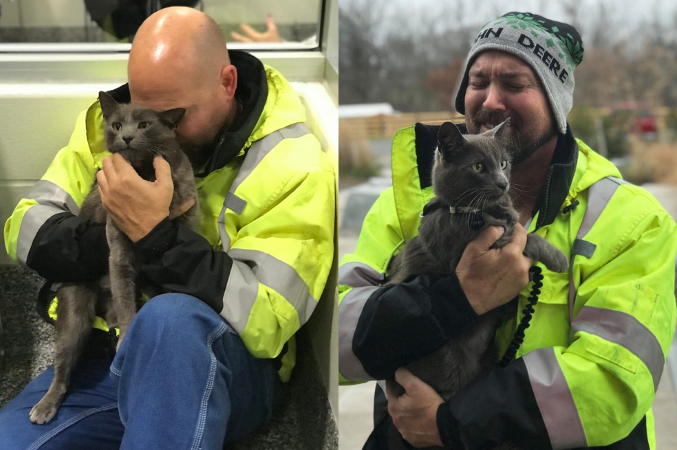 Camionero rompe a llorar tras reunirse con su gato perdido: así fue el reencuentro