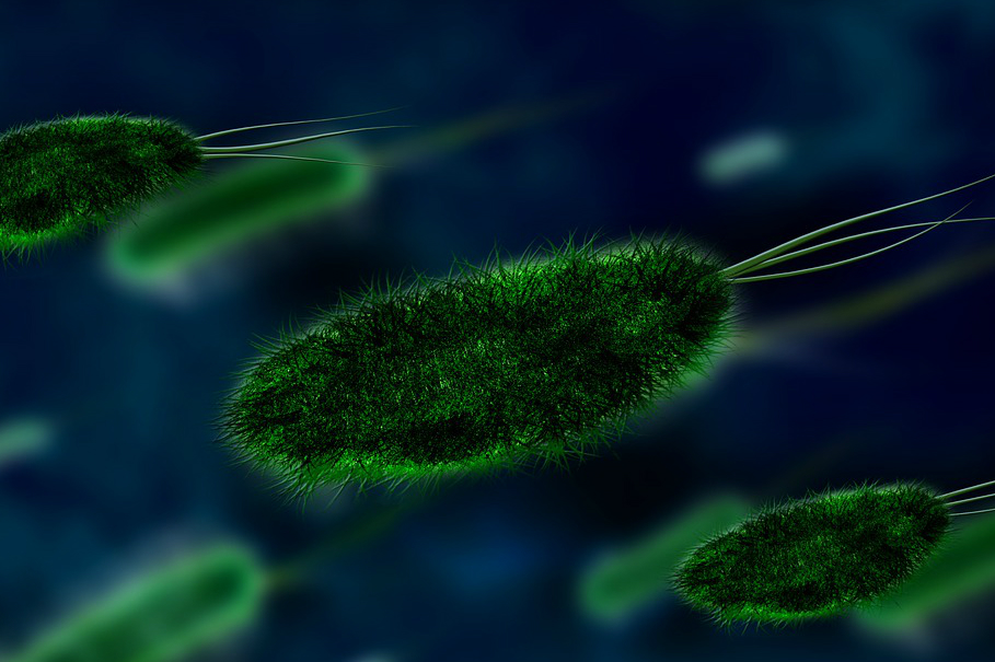 Usan virus genéticamente modificados para combatir bacterias con resistencia 
