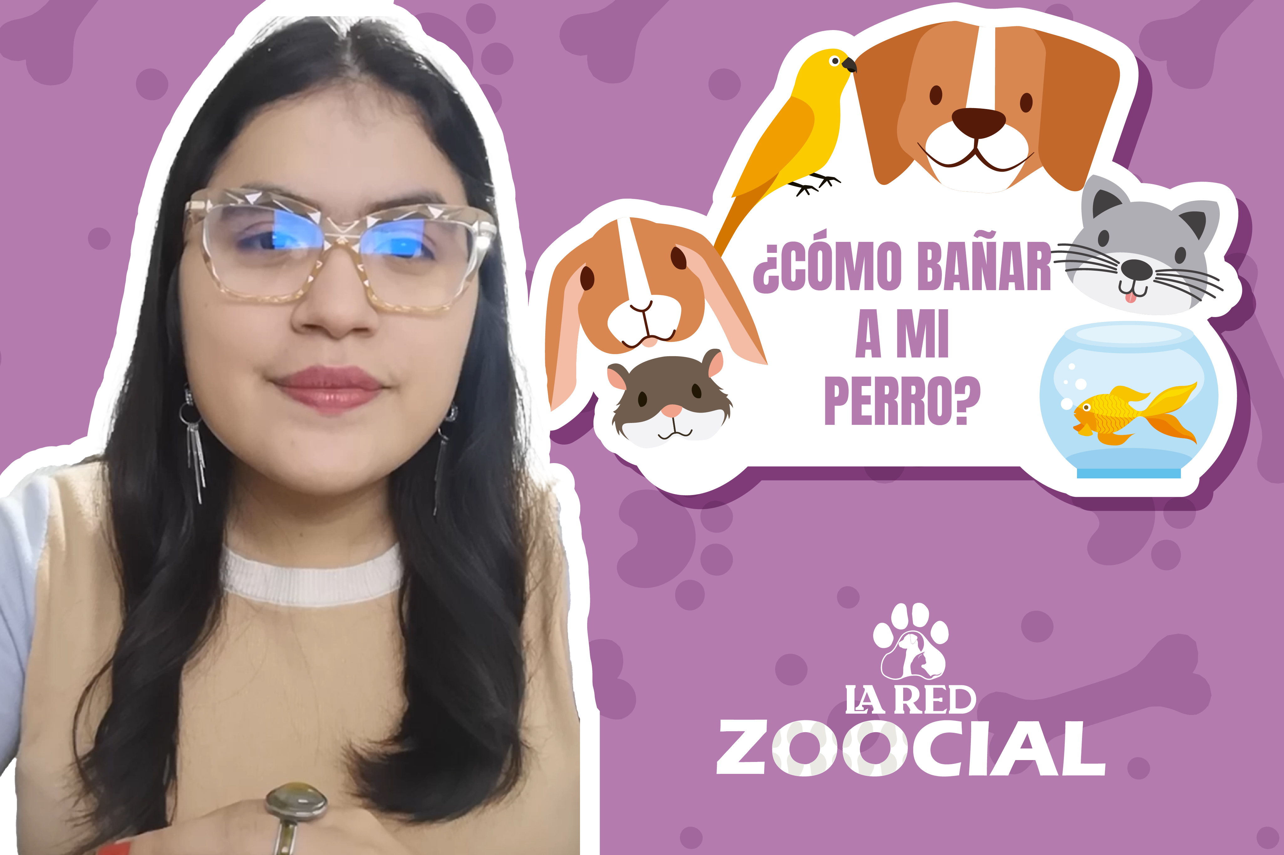 (VIDEO) ¿A qué edad puedo bañar a un perro por primera vez? Recomendaciones