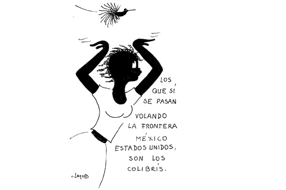 Colibrís