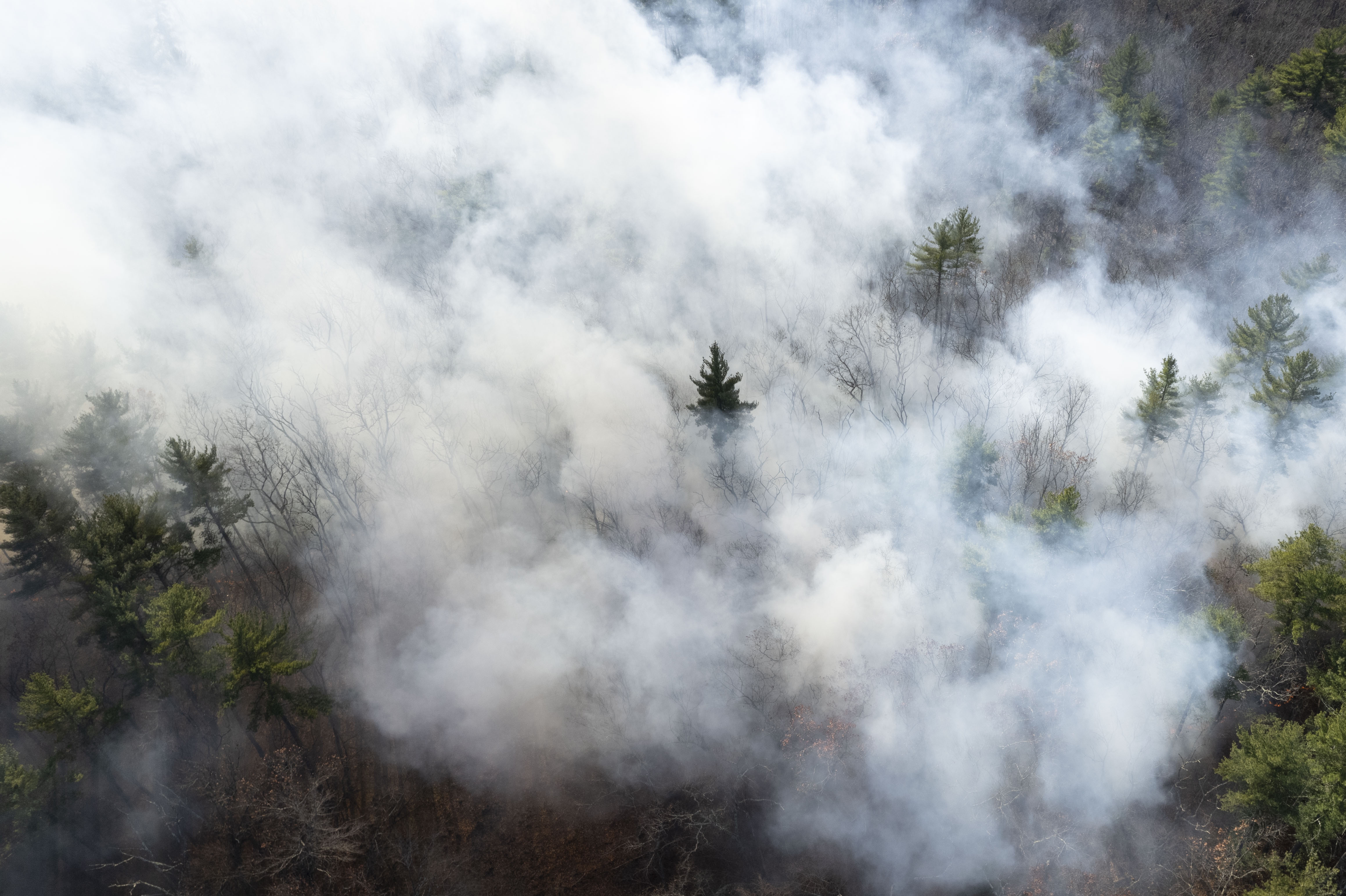 La contaminación del aire por incendios ha causado 1.5 millones de muertes
