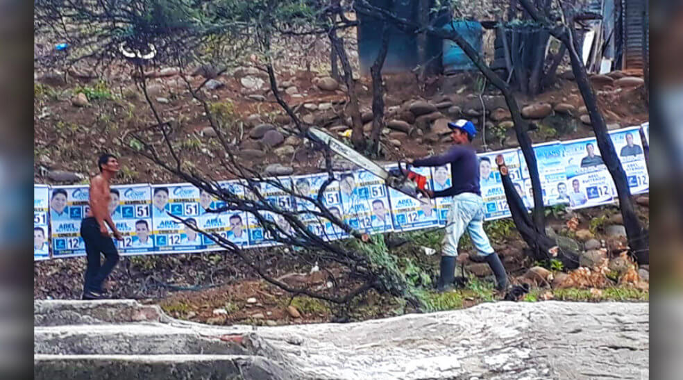 Árboles en El Zulia fueron cortados para colgar publicidad política