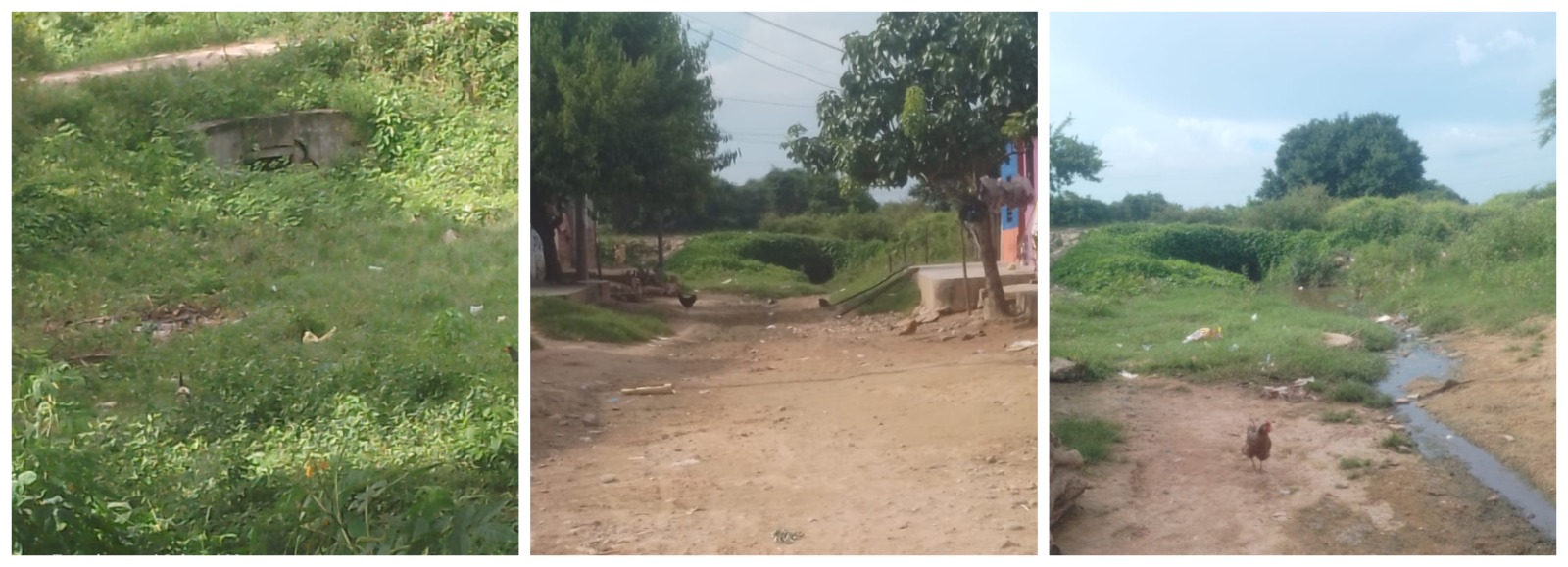 Foto de Pivijay Magdalena