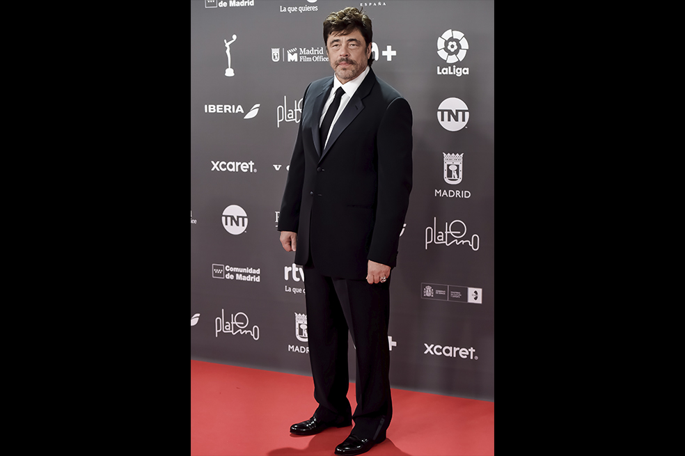 Benicio del Toro