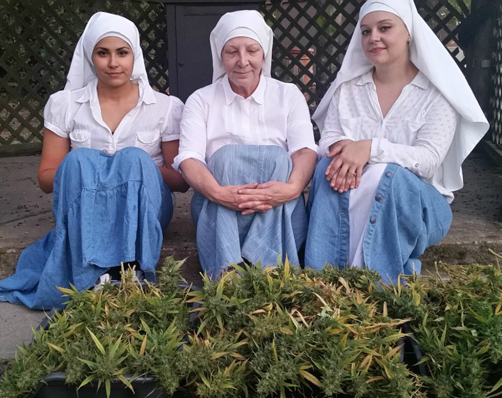 Las hermanas que se hacen ricas vendiendo marihuana