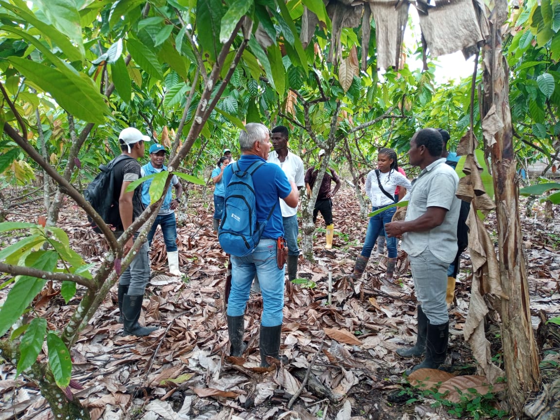 Las redes del cacao que se consolidan con el Programa Rutas PDET en Tumaco (Nariño)