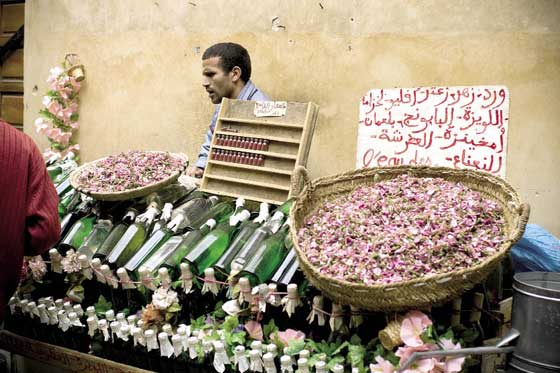 Marruecos: el sueño africano