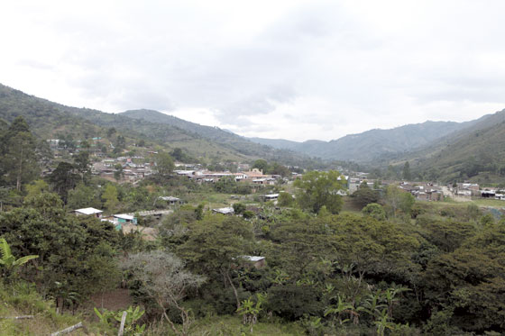 Galeria Toribio julio
