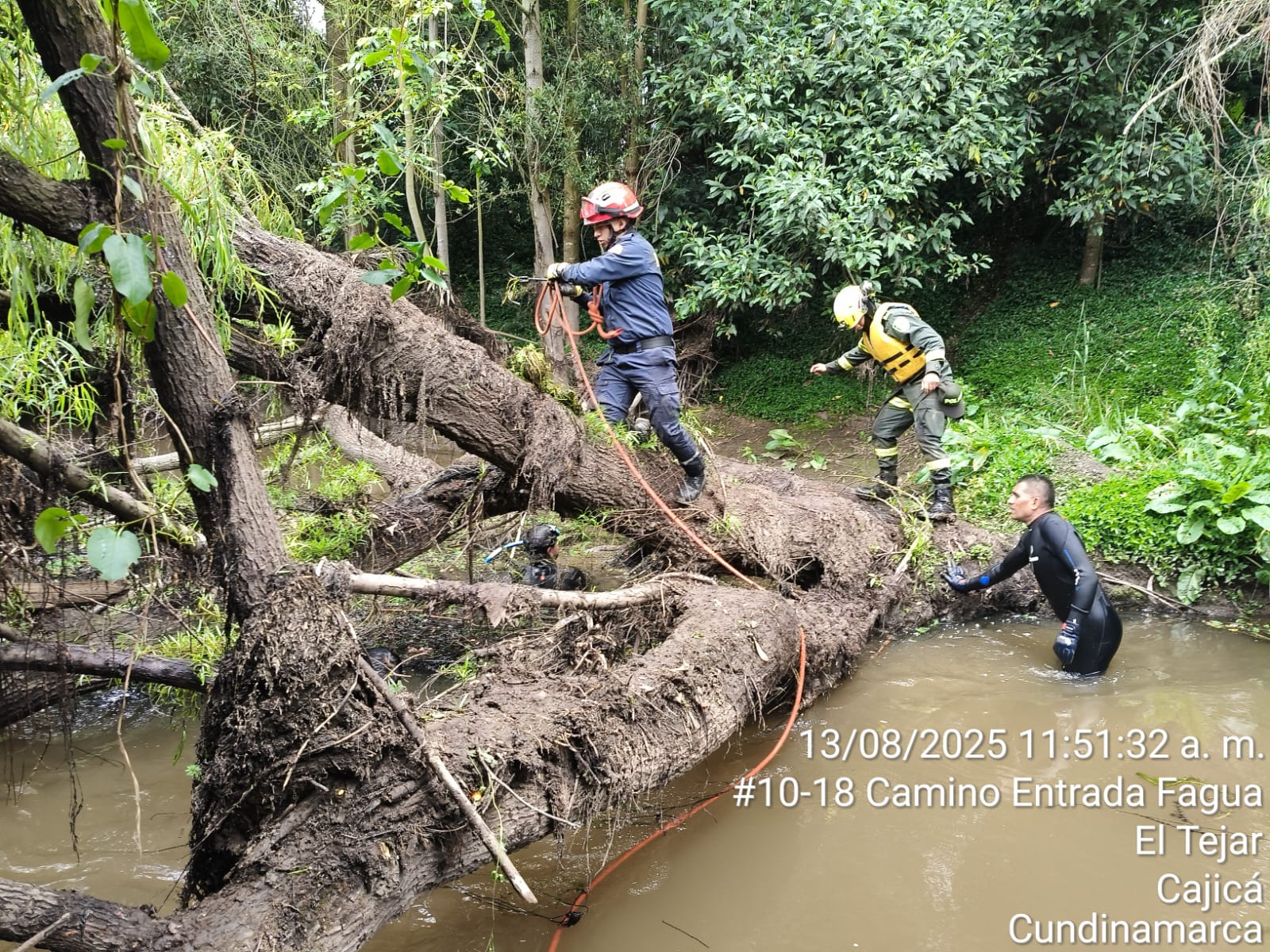 Tronco que atraviesa el río Frío en el rango de búsqueda de la menor.