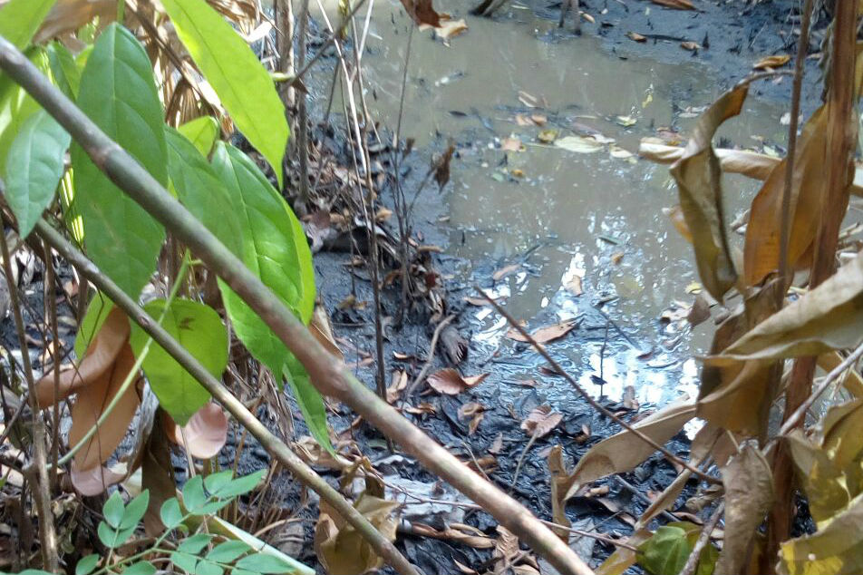 Bioenergy dice que material rebosado en caño de Meta no es tóxico