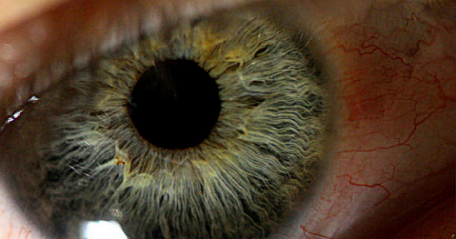 Diez tips para evitar los ojos cansados