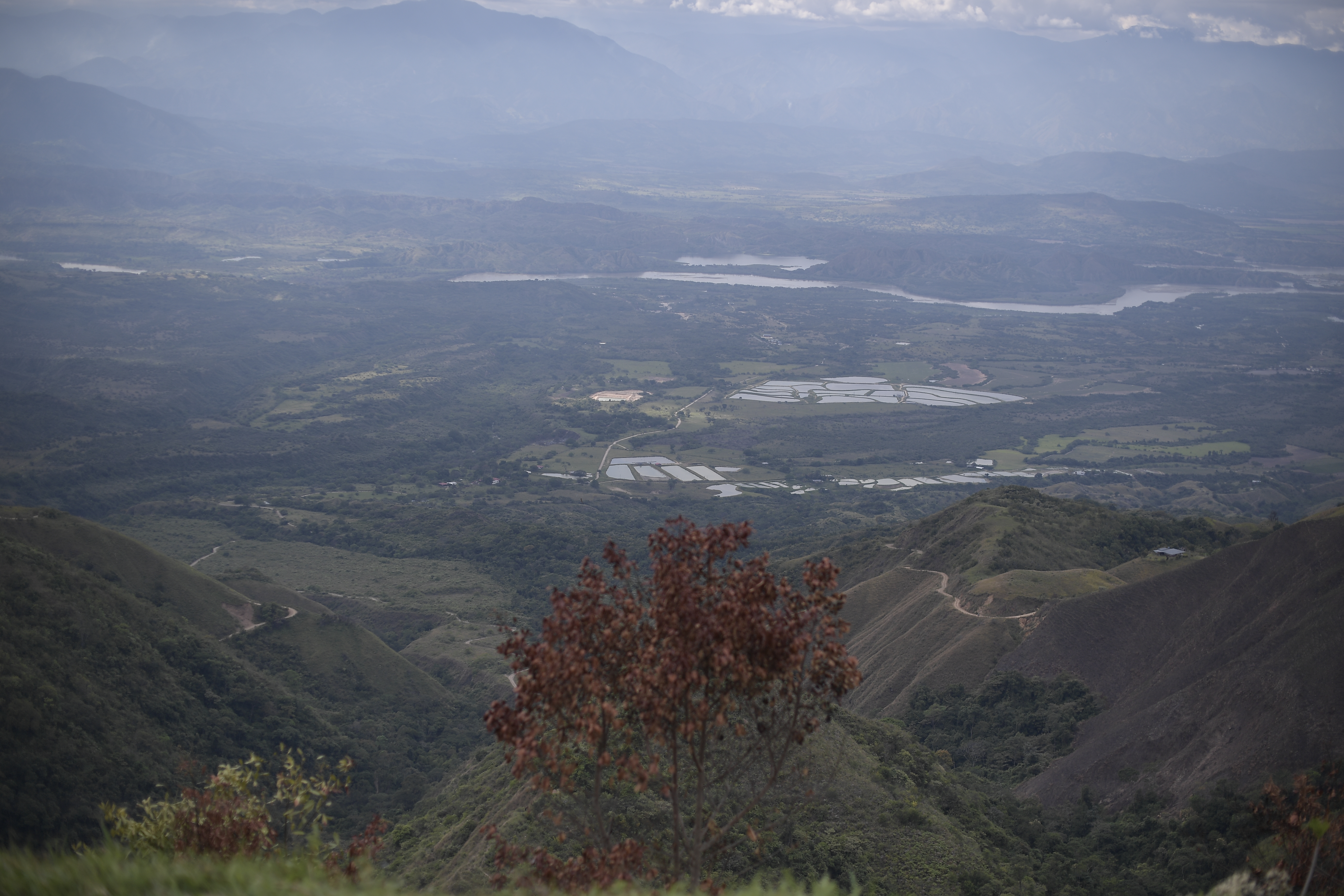 Asesinaron a tres personas en medio de incursión armada en Hobo, Huila