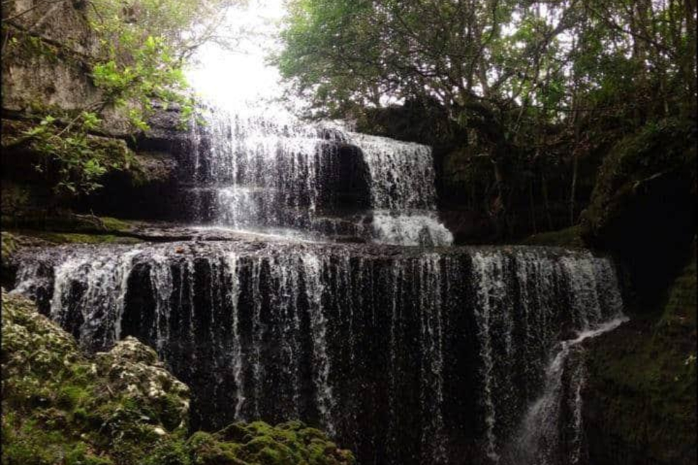 Cascada el Diamante de las Aguas, Guaviare: biodiversidad en todo su esplendor
