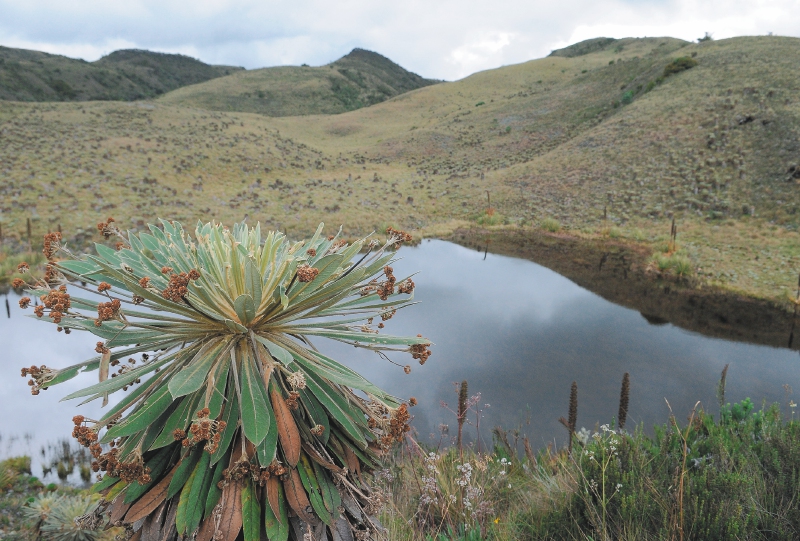 ¿Qué sabemos del agua de la región central de Colombia?