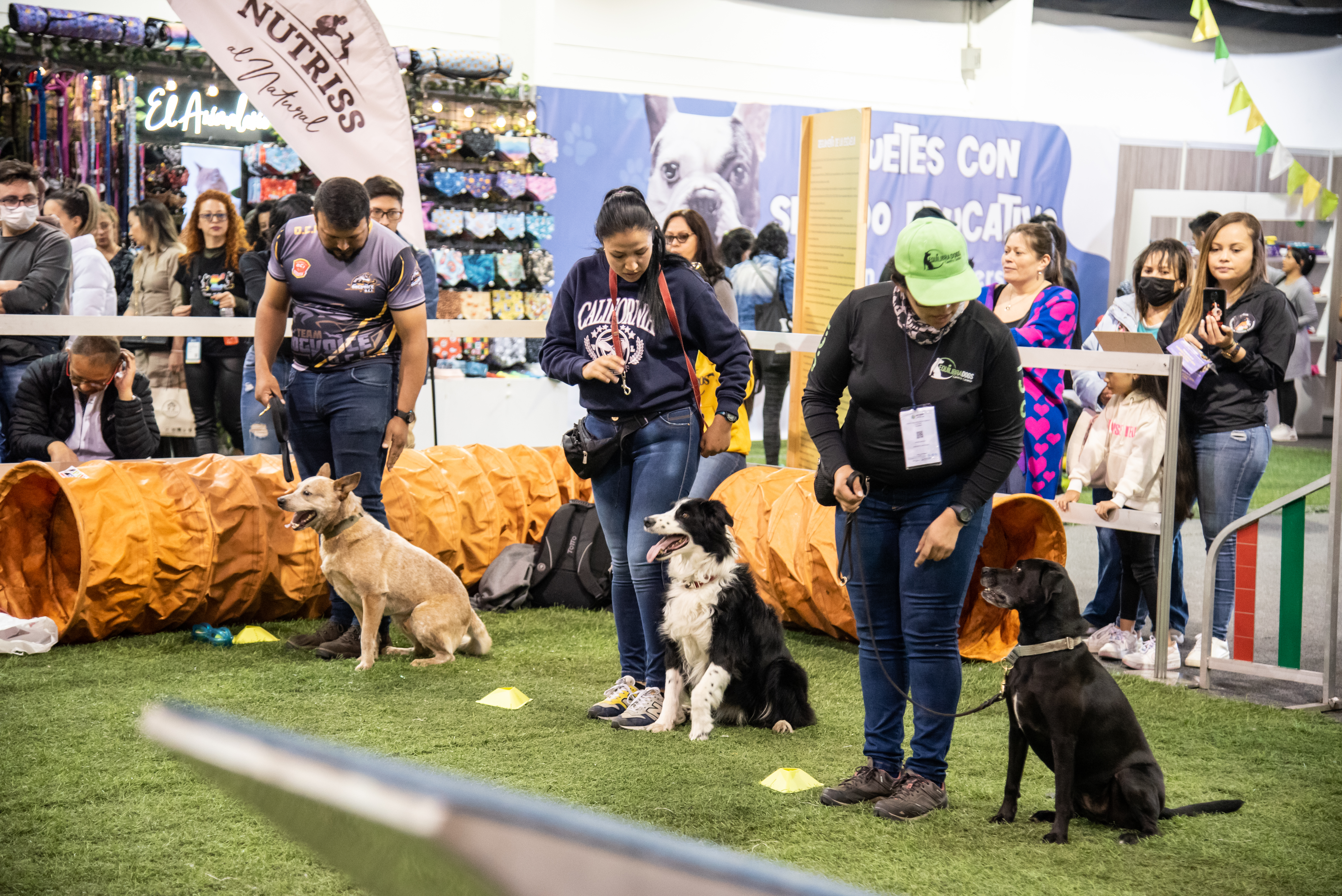 Expopet Colombia 2023: programación, horarios, boletería y más