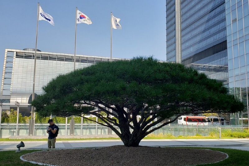 Un viaje a la cuna de la innovación en Corea del Sur