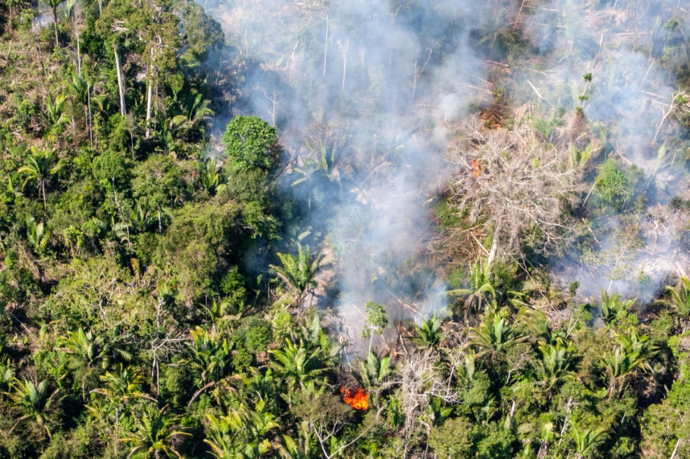 Incendios en el sur de la Amazonía.