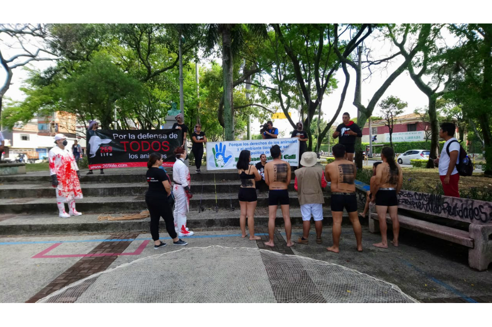 La explícita manifestación de un grupo activista en Cali por el Día Mundial de los Animales