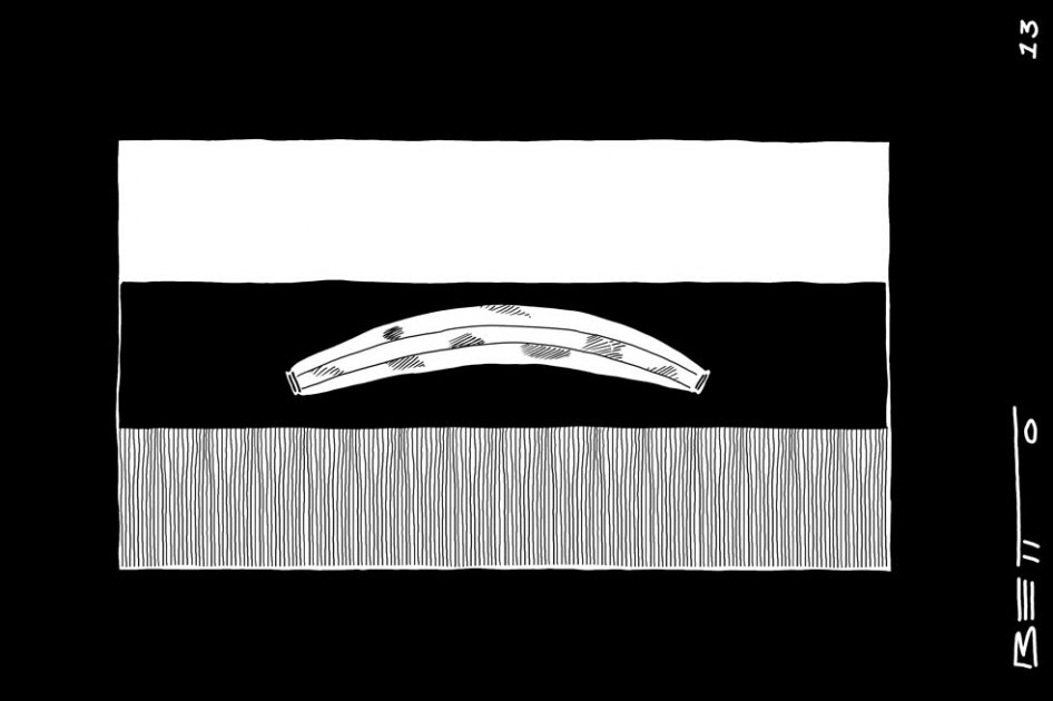 Maduro republic