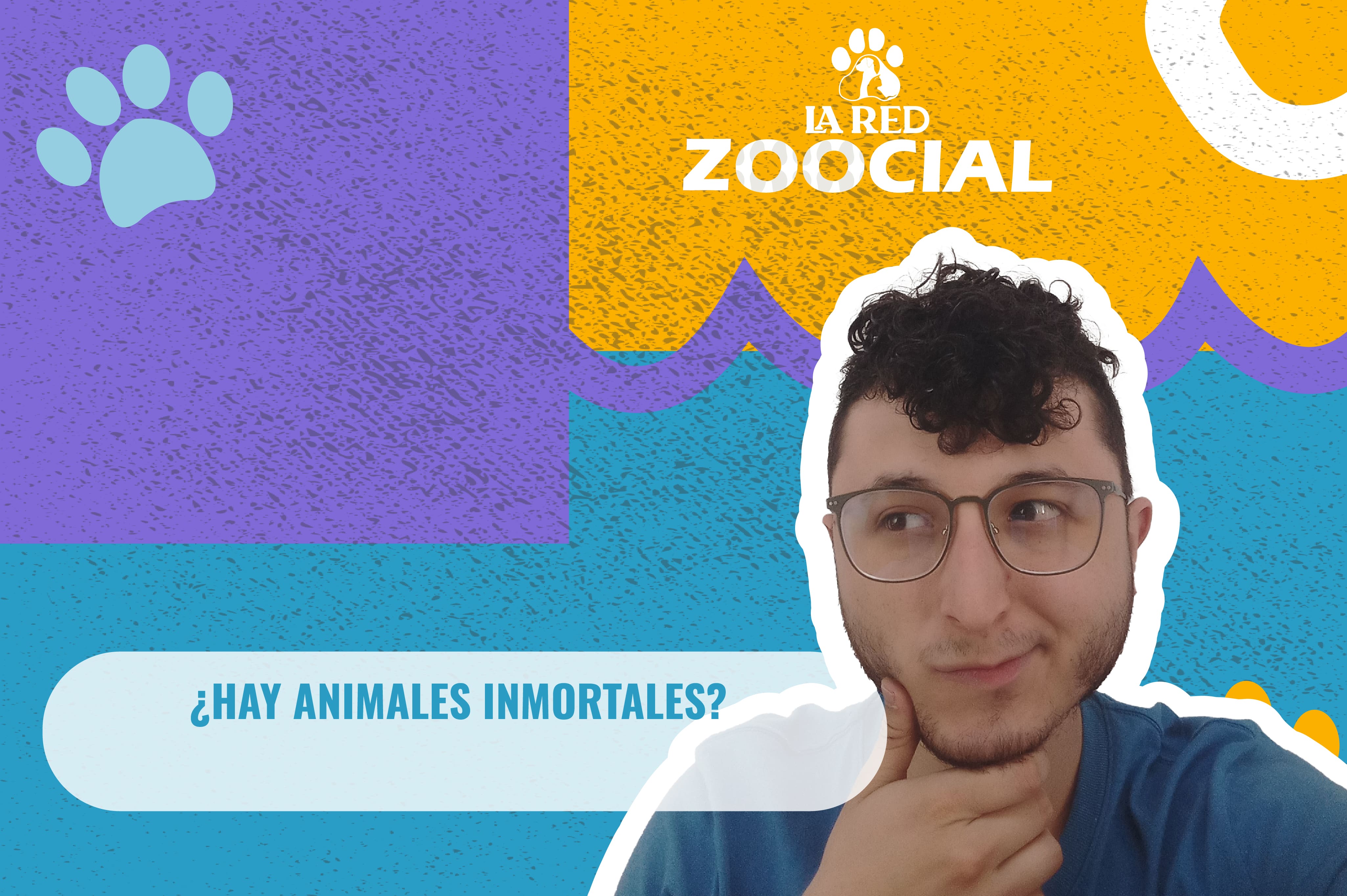 (Video) ¿Hay animales inmortales?