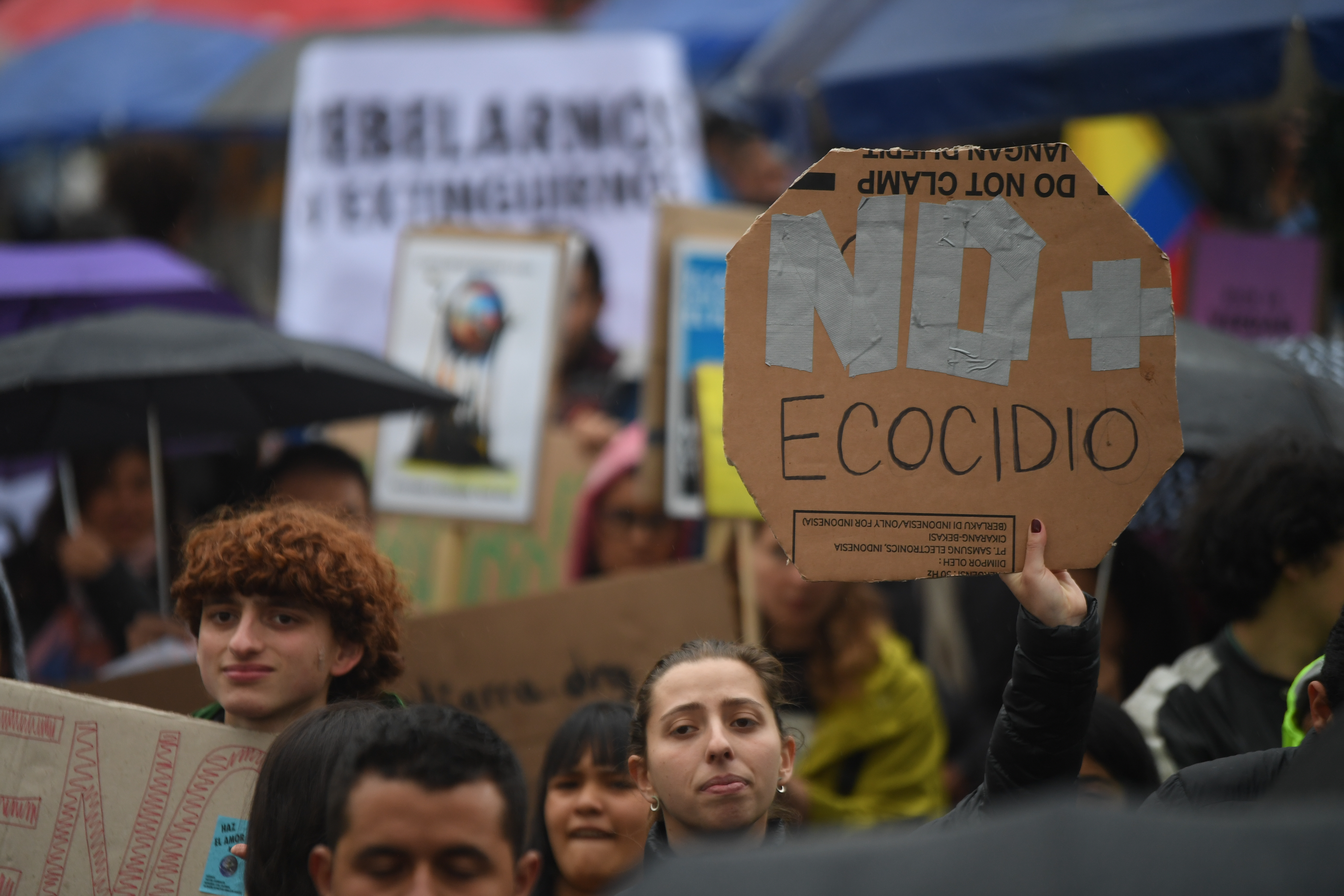 La región más peligrosa del mundo para defender el medioambiente