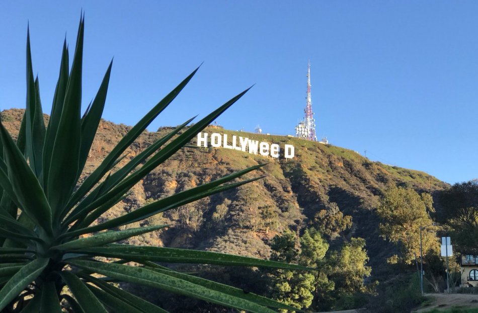 ¿Hollywood o Hollyweed?: vándalos alteran icónico letrero por broma de año nuevo