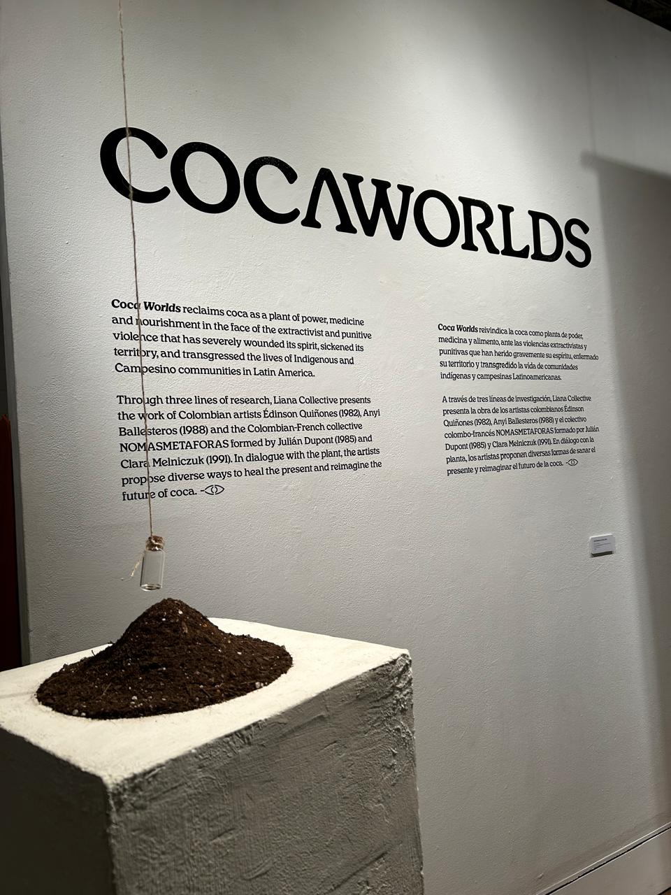 La exposición agrupa tres propuestas artísticas sobre tres reflexiones alrededor de la planta de coca.