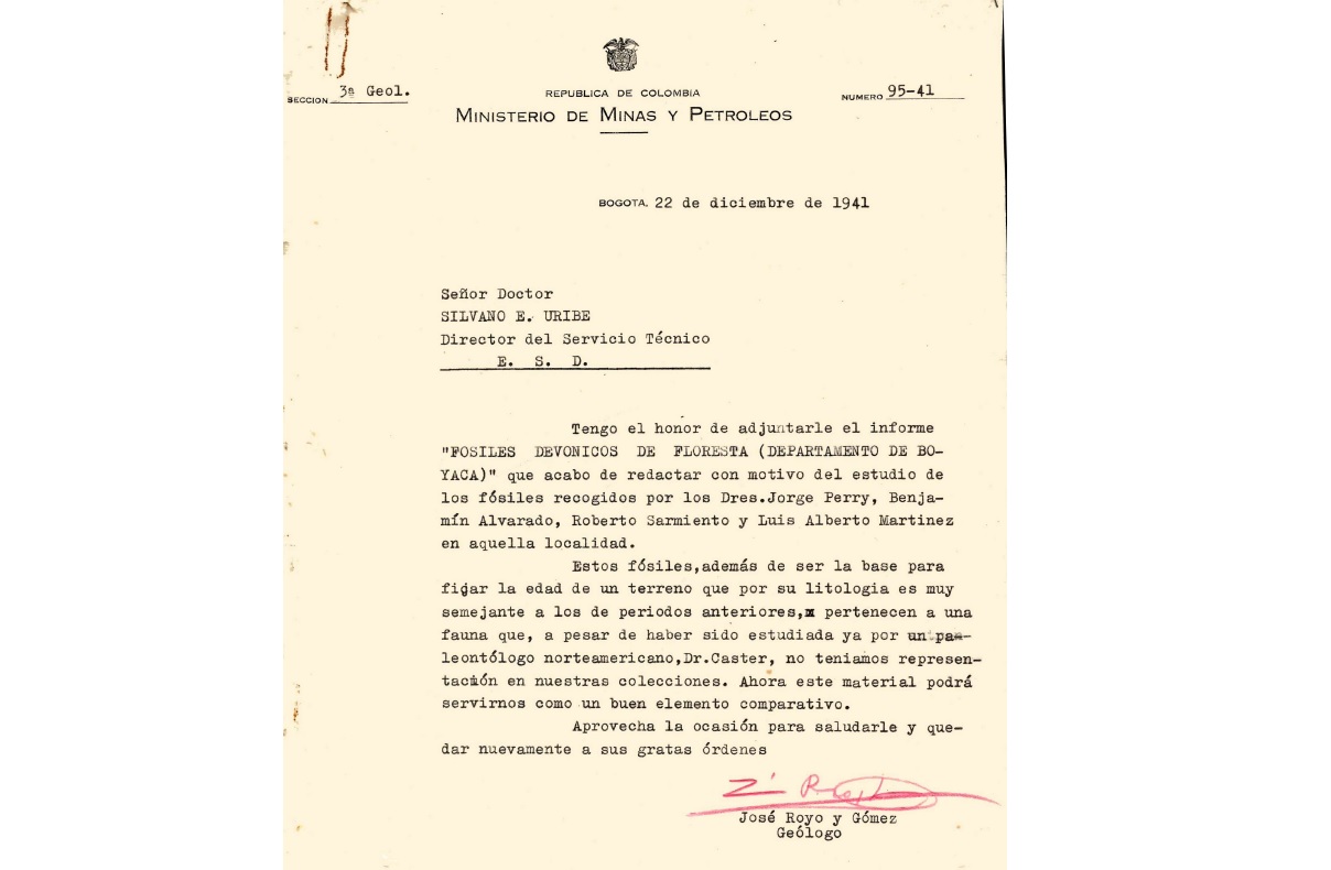 fósiles