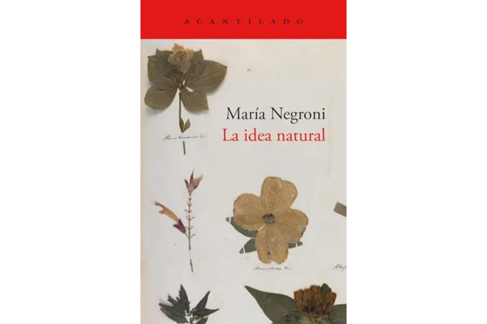 Un jardín de las delicias (Reseña)